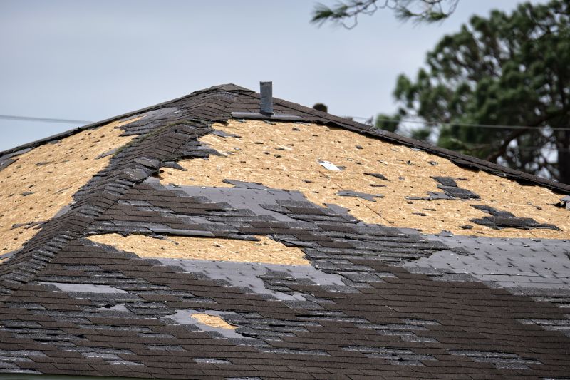 Replacing Missing Shingles